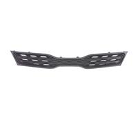 BLIC 6502-07-3279991P Griglia radiatore