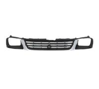 BLIC 6502-07-3782992P Griglia radiatore