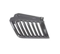 Griglia del radiatore BLIC 6502-07-3783993P sinistro