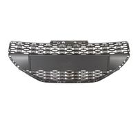 Griglia del radiatore BLIC 6502-07-5509990Q