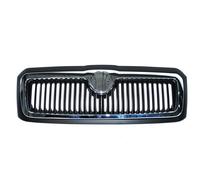 Griglia del radiatore BLIC 6502-07-7520991P