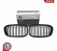 Griglia del radiatore BMW 1 F20 66SKV019