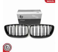 Griglia del radiatore BMW 2 F22 66SKV035