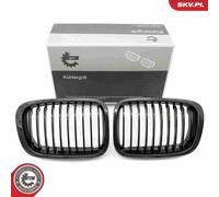 Griglia del radiatore BMW 3 E46 66SKV065