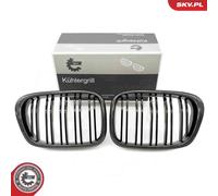 Griglia del radiatore BMW 5 E39 66SKV163