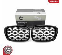 Griglia del radiatore BMW 5 E39 66SKV164