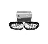 ESEN SKV 66SKV175 Griglia radiatore