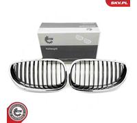 Griglia del radiatore BMW 5 E60 66SKV169