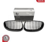 Griglia del radiatore BMW 5 E60 66SKV170