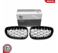 Griglia del radiatore BMW 5 E60 66SKV175