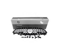 Griglia del radiatore GTR argento con sede camera MERCEDES CLS (W257, 2019)