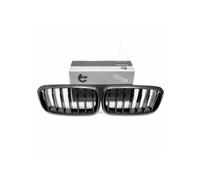 Griglia del radiatore L+P set v kolor carbon BMW X5 F15