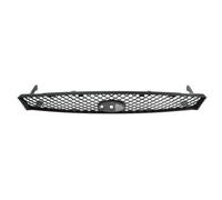 Griglia Del Radiatore Nera Per Ford Focus DAW DBW DNW DFW