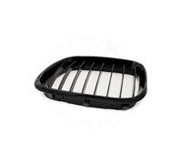 Griglia del radiatore Set of L&R single ridge black gloss BMW X5 E53