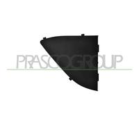 Griglia Destra Paraurti Anteriore Interna Nera Bmw 1 Series F20/F21 2015-2019