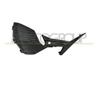 PRASCO PG4322133 Griglia paraurti