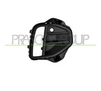 PRASCO VG7742133 Griglia paraurti