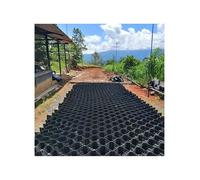 Griglia di stabilizzazione al suolo resistente, materiale dell'HDPE per i passi carrai e le pendenze, resistenza alla trazione ad alta resistenza