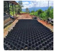 Griglia di stabilizzazione per vialetti da 5,1 cm di spessore, per pendii, per sentieri da giardino (3 x 10 m), soluzione ecologica facile da installare