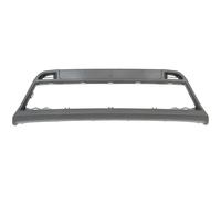 BLIC 5601-00-2564915P Griglia paraurti