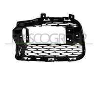 Griglia Dx Paraurti Nera Lucida Land Rover Range Rover-sport-l494 2013-2017 Dx