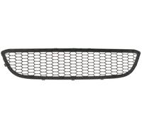 GRIGLIA GRIGLIETTA CENT. PARAURTI ANTERIORE PER BMW SERIE 1 M-TECH 2004-2007