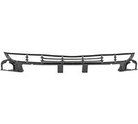 Griglia listello supporto anteriore Serie3 E46 2001-2005 4 e 5 porte nero op