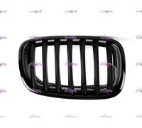 GRIGLIA MASCHERA RADIATORE DX NERA LUCIDA BMW X6 E71 MTECH 2007-2014