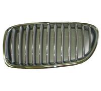 GRIGLIA MASCHERINA ANT/SX CROM-GRIGIA BMW SERIE 5 F10-F11 2010
