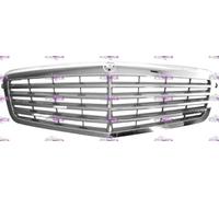 GRIGLIA MASCHERINA RADIATORE INTERNO ARGENTO MERCEDES CLASSE E (W212) 2009-2013