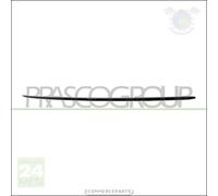 Griglia mostrina paraurti Prasco Anteriore per MERCEDES CLASSE E AMG63