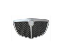GRIGLIA O MASCHERA ANTERIORE LANCIA YPSILON 2006-2011 SATINATA-GRIGIA