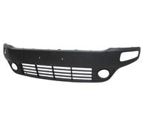 GRIGLIA O MODANATURA PARAURTI ANTERIORE FIAT PUNTO EVO DAL 2009 C/FENDINEBBIA