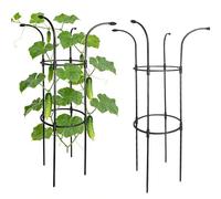 Griglia ombrellone da giardino, supporto decorativo verticale per | Traliccio con fermo a fiore e fungo per rampicanti, rose, clematidi, pitahaya, cetrioli, ortensie, gelsomini e popoli