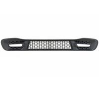 GRIGLIA PARAURTI ANTERIORE CENTRALE INFERIORE C/FORI PER SMART FORTWO 12>14