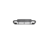 GRIGLIA PARAURTI ANTERIORE CITROEN XSARA 1997-2000 C/SEDE PORTATARGA