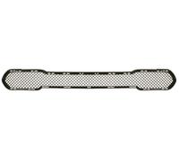 Griglia Paraurti Anteriore Compatibile Con: BMW X1 E84 10.09-06.15