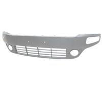 GRIGLIA PARAURTI ANTERIORE FIAT PUNTO EVO 09> - CON PRIMER CON SEDI FENDINEBBIA