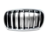 Griglia Paraurti Anteriore Per BMW Per X5 Per X6 F15 F16 2014 2015 2016 2017 2018 Griglia Anteriore A Doppio Rene Lato Passeggero Destro, Completamente Cromata