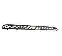 Griglia Paraurti Anteriore Superiore Bmw X5-E70-(Anno 2007-2010)