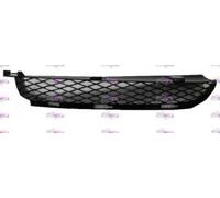GRIGLIA PARAURTI ANTERIORE SUPERIORE DX DESTRA BMW X5 E53 2004-2006