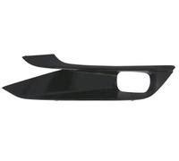 Griglia paraurti anteriore Sx 5513-00-8155993P BLIC