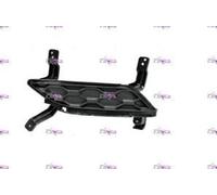 GRIGLIA PARAURTI ANTERIORE SX S/SEDE FEND HYUNDAI SANTAFE SANTA-FE 2019-