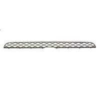 Griglia paraurti BLIC 6502-07-0096994P per BMW X5 (E70) 3 2006-2008
