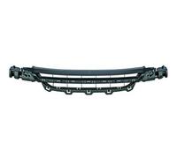 griglia paraurti centrale BMW F20, accessorio anteriore 11-03.15