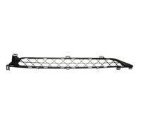 Griglia Paraurti Frontale per: Citroen C4 Grand Picasso I, C4 I 10.06-08.1