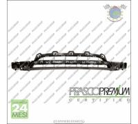 Griglia Paraurti Prasco Anteriore Per Bmw 1 F20 125 120 118 116 114 M