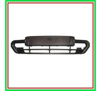 Griglia Portatarga Paraurti Anteriore Citroen Xsara-(Anno 1997-2000)