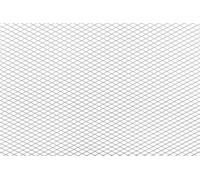 Griglia Racing STR8 maglia fina 30x30cm cromo