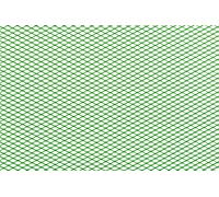 Griglia Racing STR8 maglia fina 30x30cm verde